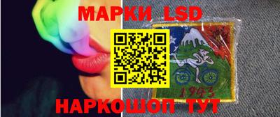 стаф Будённовск