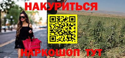 стаф Будённовск