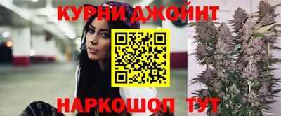 сатива Бузулук